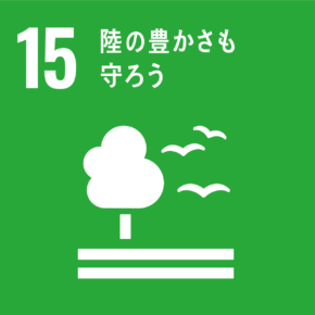 SDGs17⑮