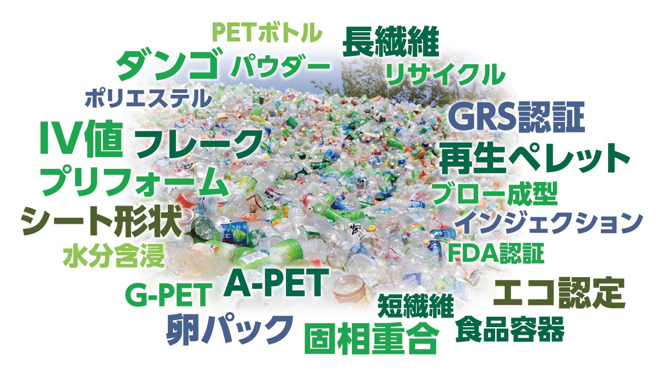 pet01